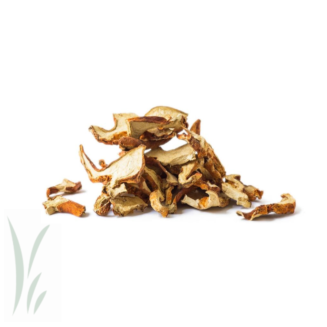 Dried Wild Lobster Mushrooms / 2oz